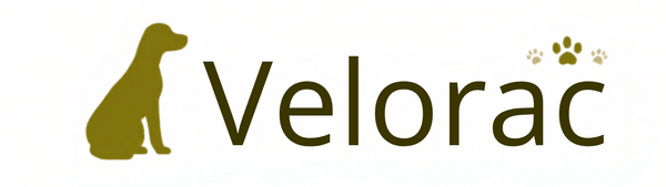 Velorac